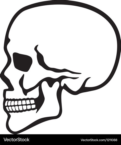 skull profile pic